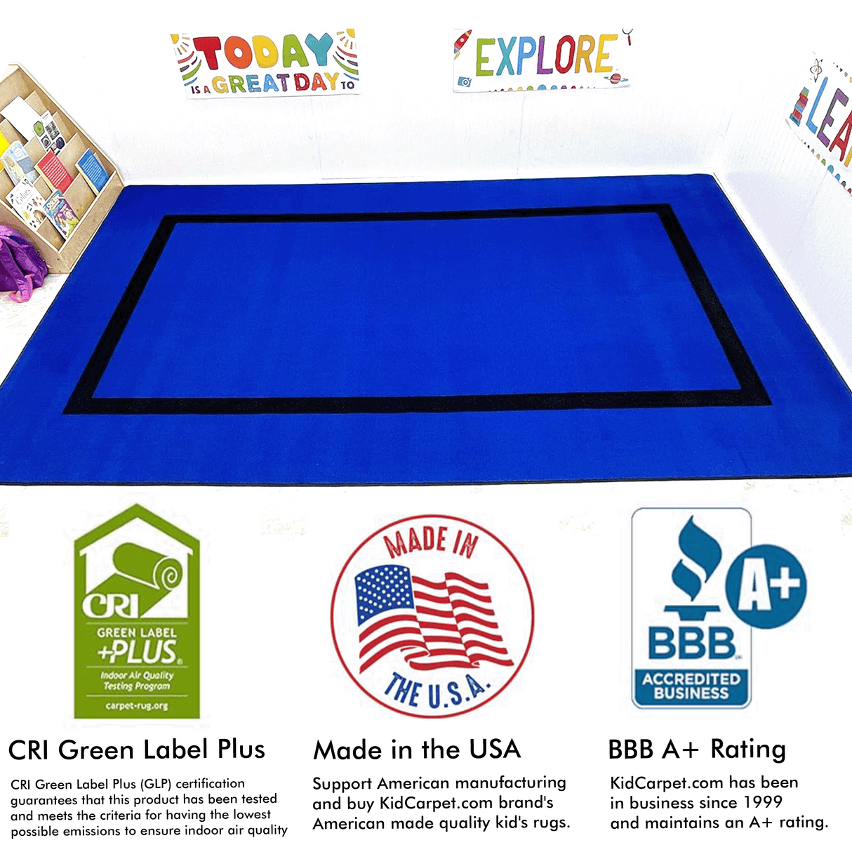 Montessori Classroom Rug Blue With Black Line