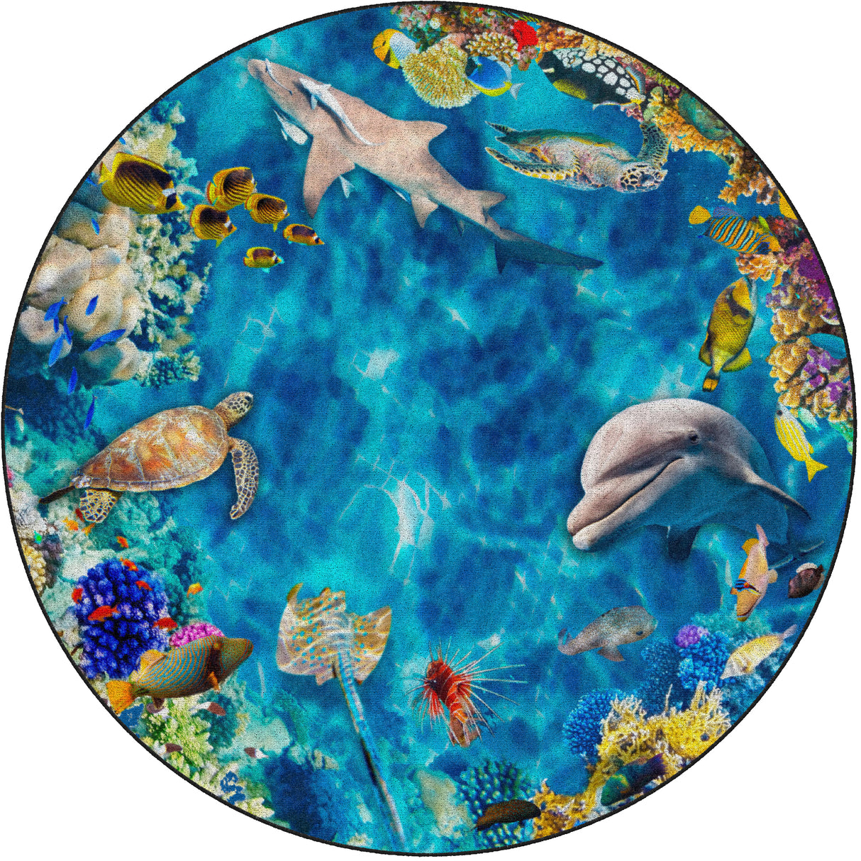 Into the Sea Photo Rug - KidCarpet.com