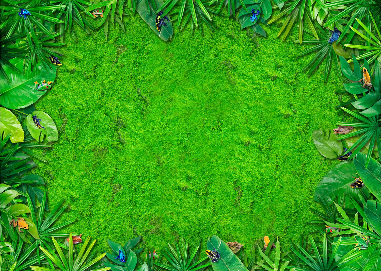 A Former Customer Guest Blogs about Her KidCarpet.com classroom rug