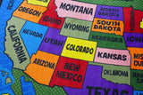 Map of the USA Classroom Rug - KidCarpet.com