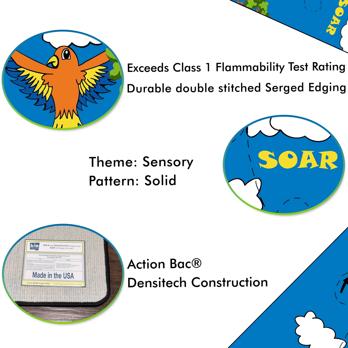 Sensory Path Rug Bird Path