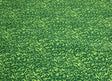 Grassy Green Rug - KidCarpet.com