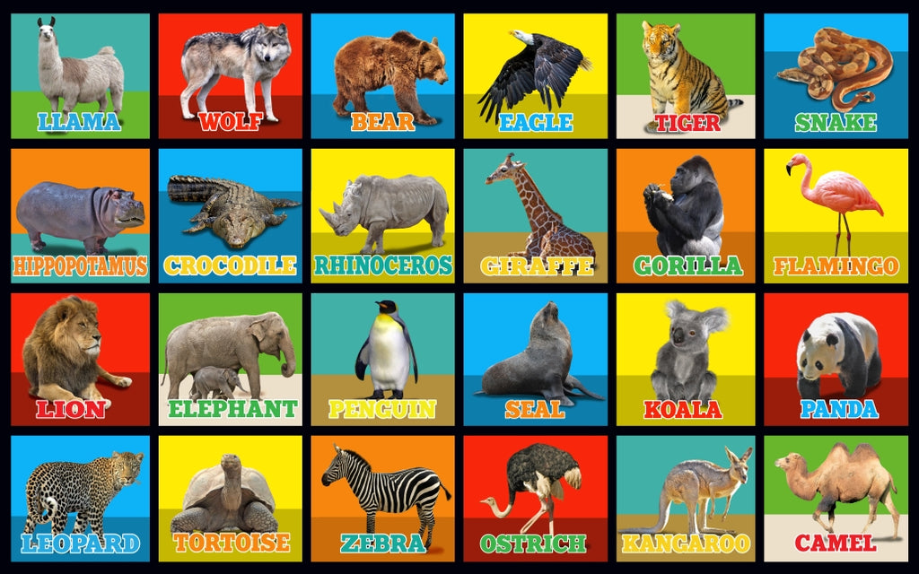 Animal Picture Squares Seating Rug 24