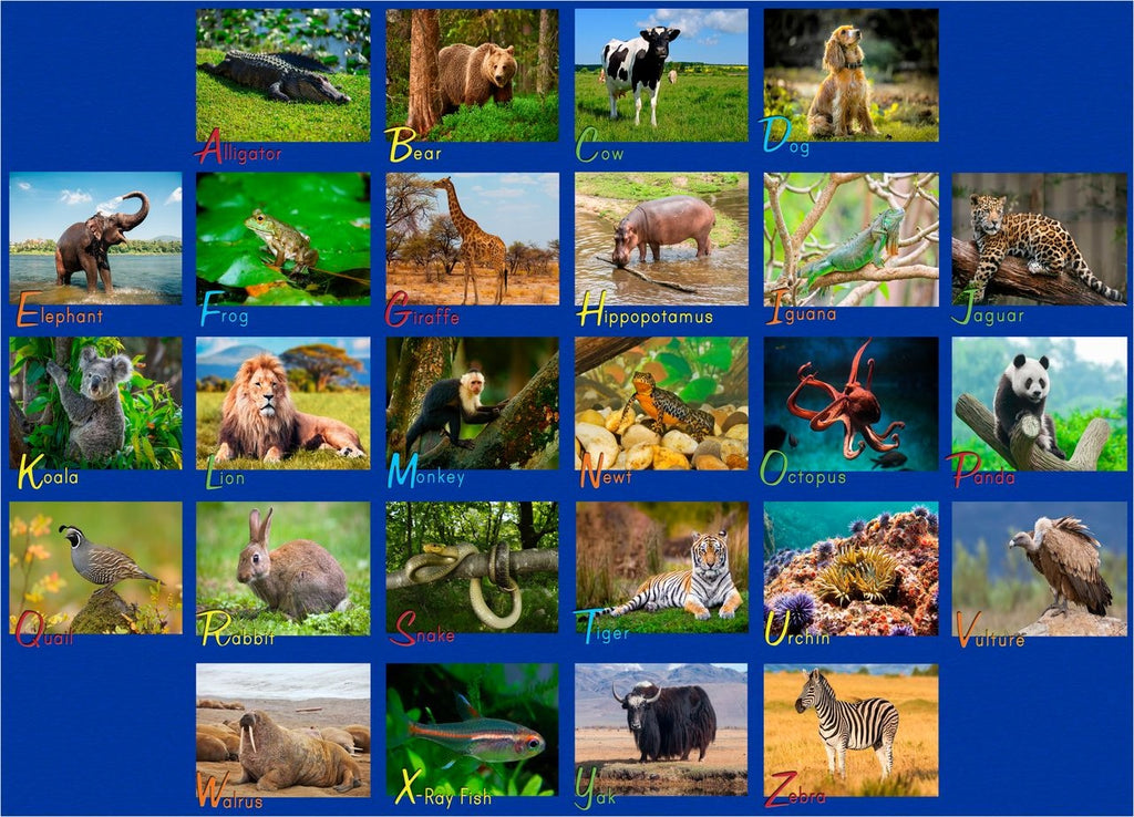 Alphabet Animals Photo Rug - KidCarpet.com