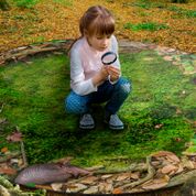 Forest Floor Classroom Seating Photo Rug