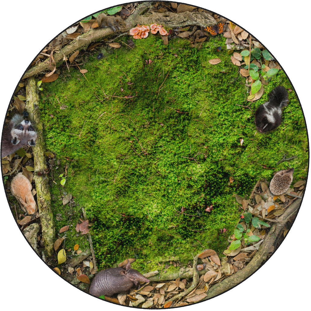 Forest Floor Classroom Seating Photo Rug